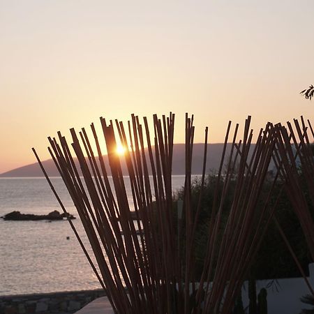Pyrthea Houses Koufonisia المظهر الخارجي الصورة